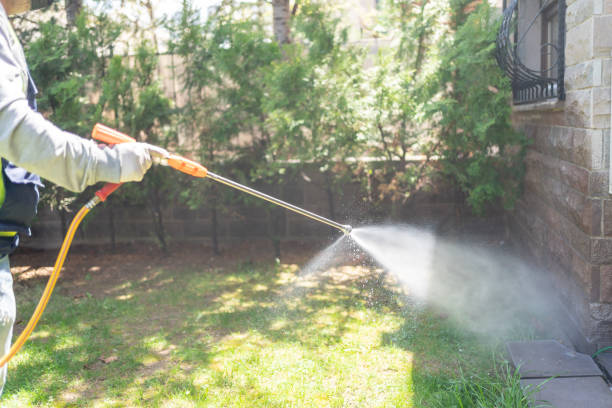 Trusted Lenoir City, TN Pest Control Experts