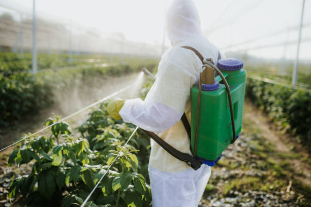 Best Affordable Pest Control Services  in Lenoir City, TN